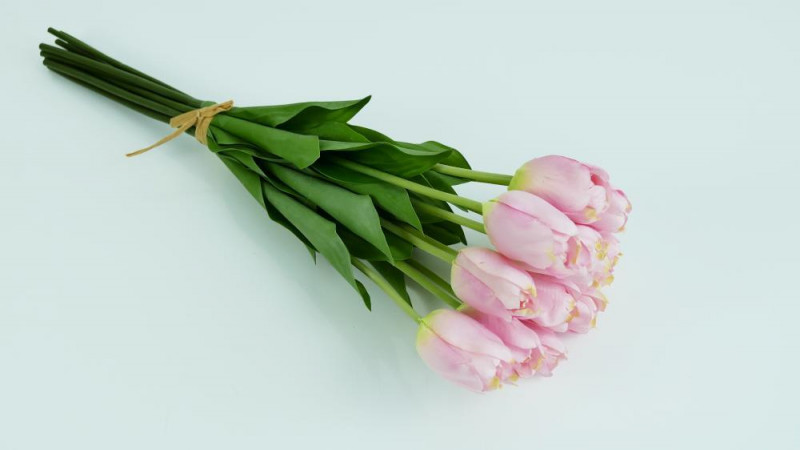 Kvety a kytice /  / Tulipán stopka