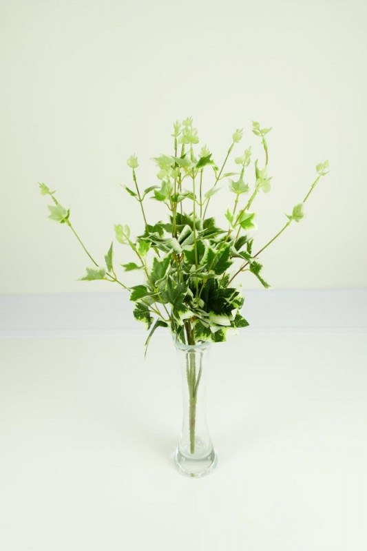 Kvety a kytice / Doplnky k aranžovaniu / Kytica list zelený