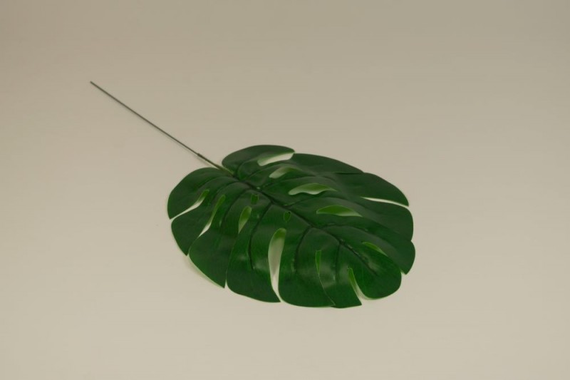 Kvety a kytice / Doplnky k aranžovaniu / List monstera Kvety a kytice / Doplnky k aranžovaniu / List monstera