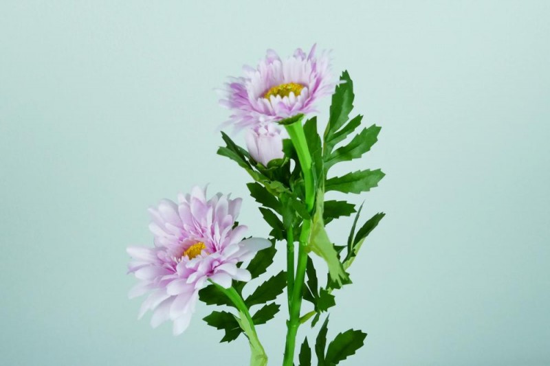 Kvety a kytice / Stopkové kvety / Gerbera stopka Kvety a kytice / Stopkové kvety / Gerbera stopka