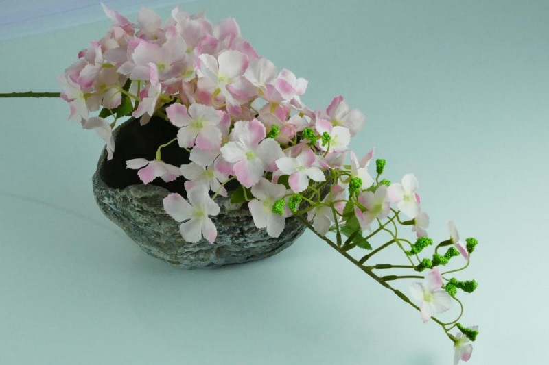 Kvety a kytice / Ťahavé kvety / Hortenzia visiaca stopka
