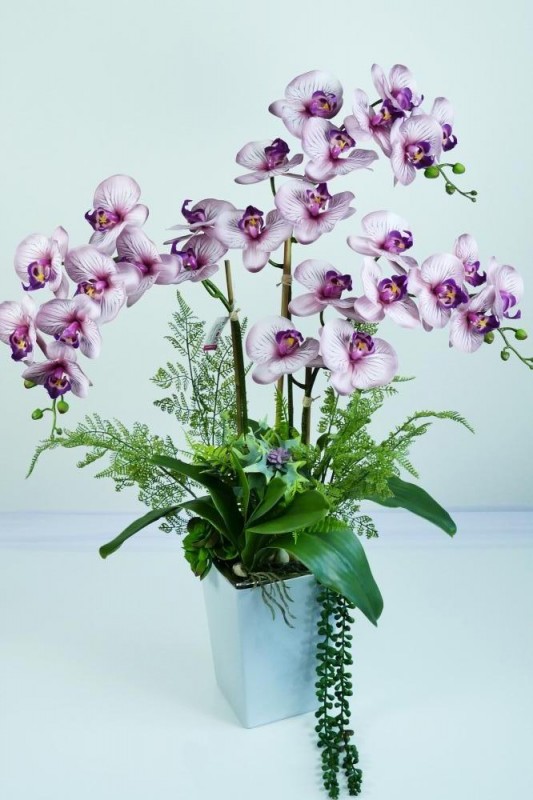 Kvety a kytice / Stromy, okrasné dreviny a sukulenty / Aranžmá orchidea guma
