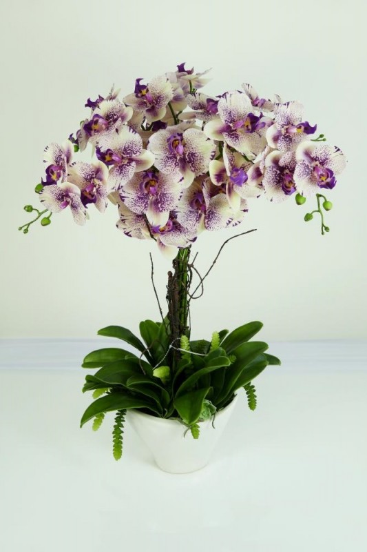 Kvety a kytice / Stromy, okrasné dreviny a sukulenty / Orchidea v keramike