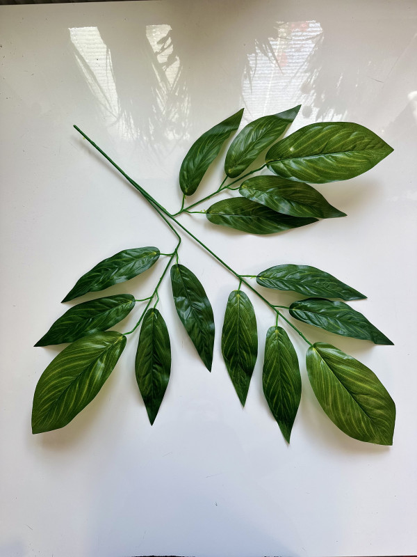 Kvety a kytice / Doplnky k aranžovaniu / List hosta