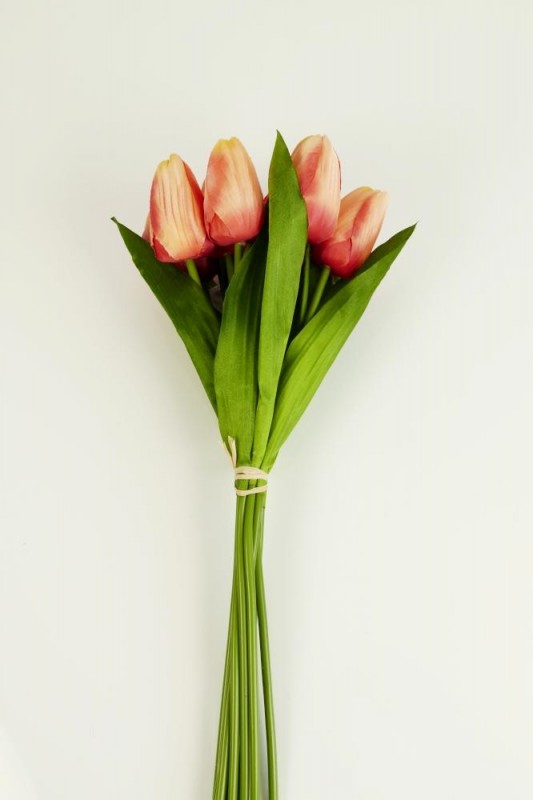 Kytica tulipán x 9 - 