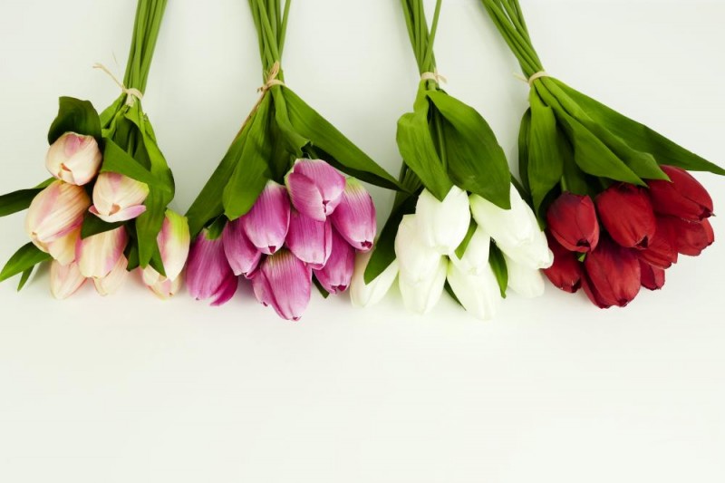 Kytica tulipán x 9 - mix č. 2