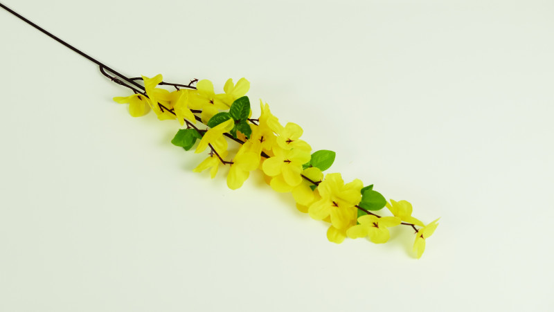 Príležitosti / Jar / Zlatý dážďx 4LT