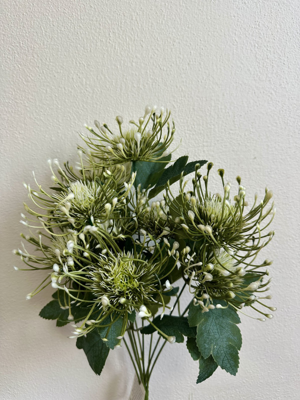 Kvety a kytice / Kytice / Kytica zelenej protey (Leucospermum)