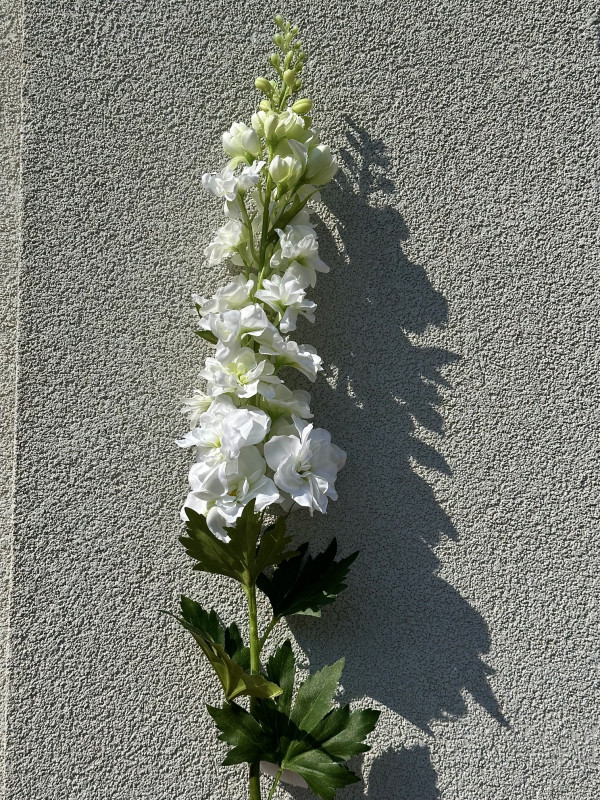 Kvety a kytice / Stopkové kvety  / Delphinium- Ostrožka