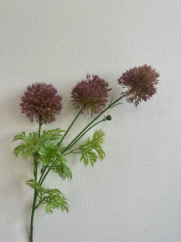 Kvety a kytice / Stopkové kvety  / Vetvička okrasného cesnaku (Allium)