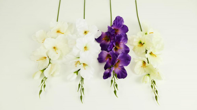 Kvety a kytice / Vencové kvety / Gladiol stopka Kvety a kytice / Vencové kvety / Gladiol stopka